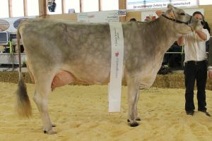 94 JURA JOLDEN-ET Schatt Armin